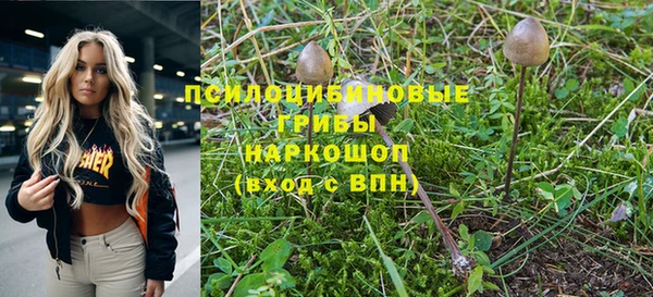 мескалин Козельск