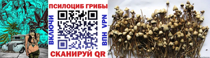 Псилоцибиновые грибы Cubensis  Медвежьегорск 